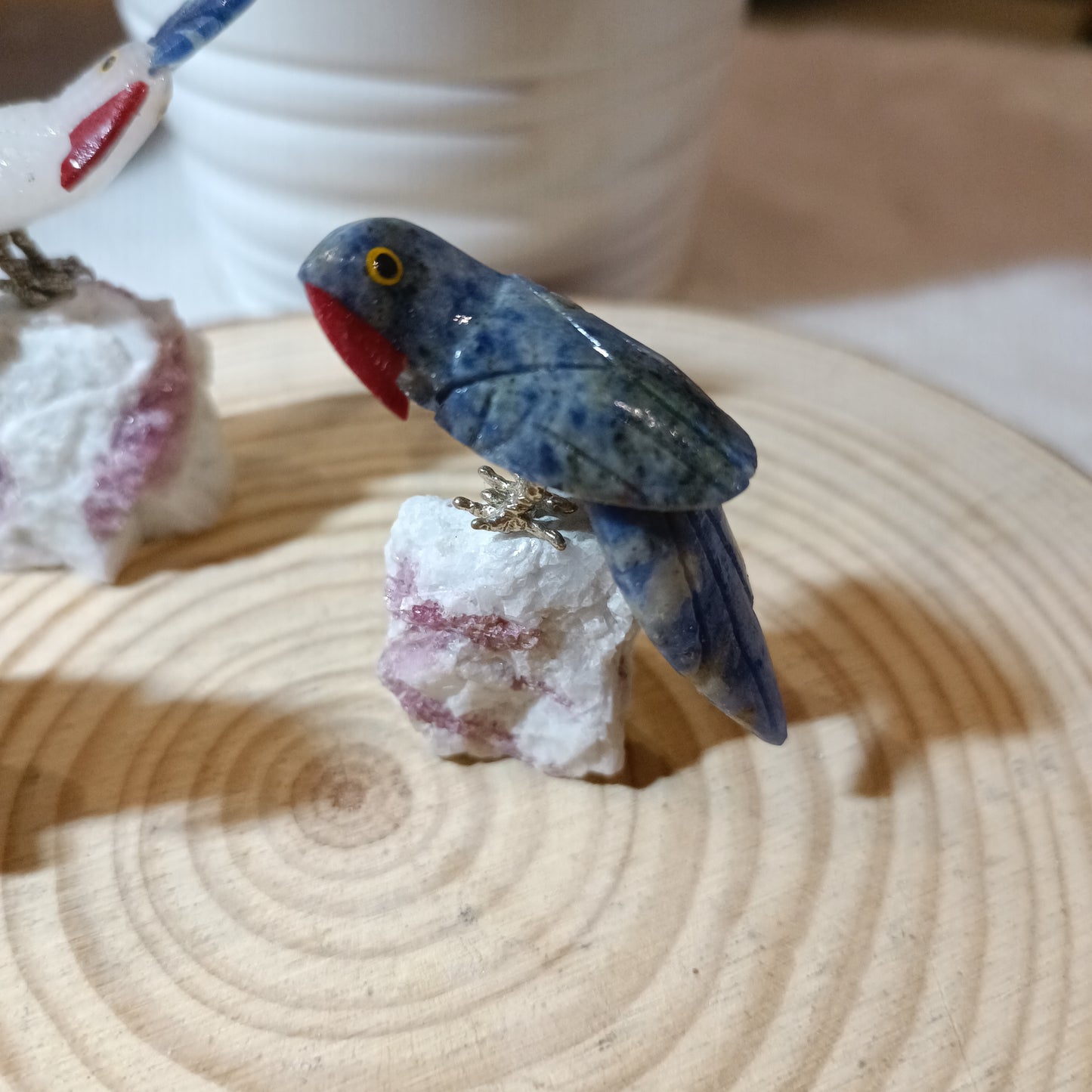Loro exotico pequeño